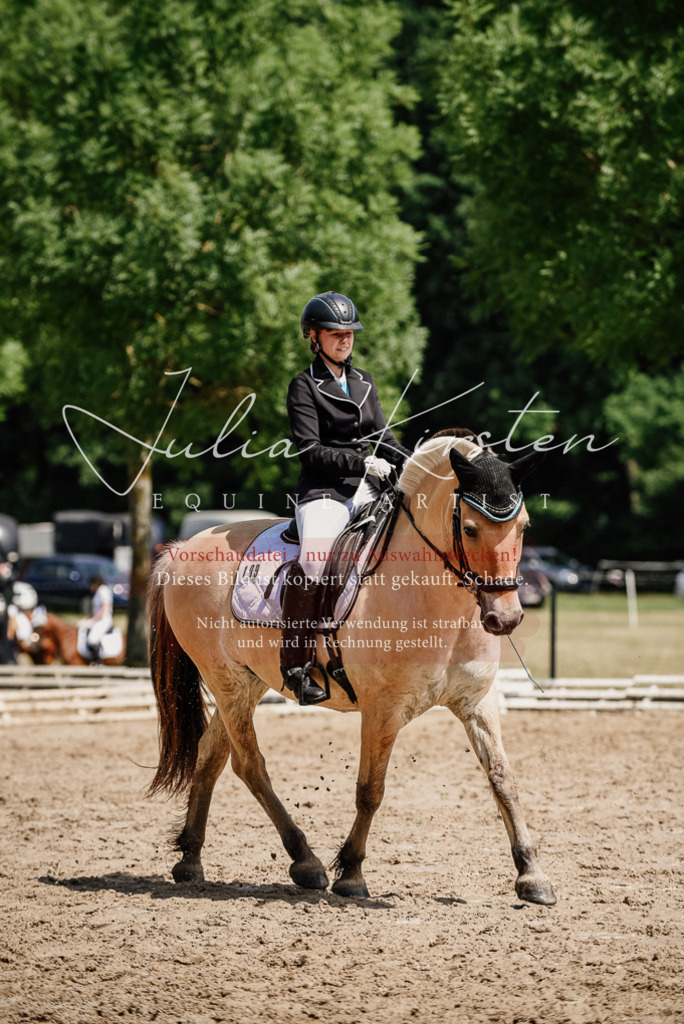 DSC_1664 | Pferde- und Turnierfotografie in Westsachsen. Pferdeportraits, Auftragszeichnungen und intuitive Kunst.