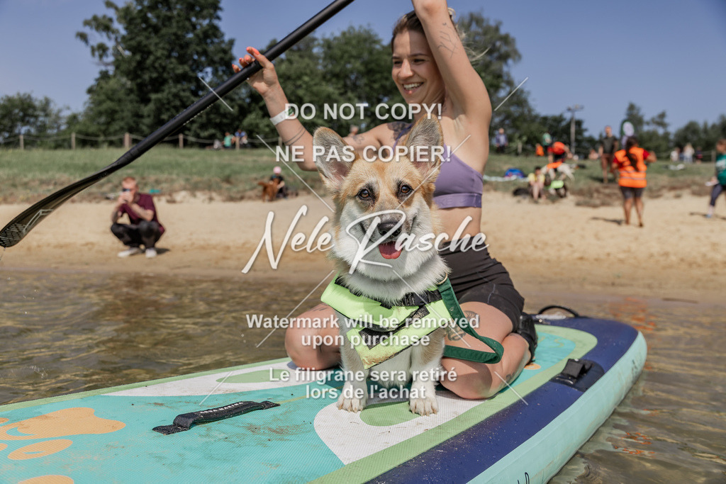BUHU_SUP_439 | nelerasche
