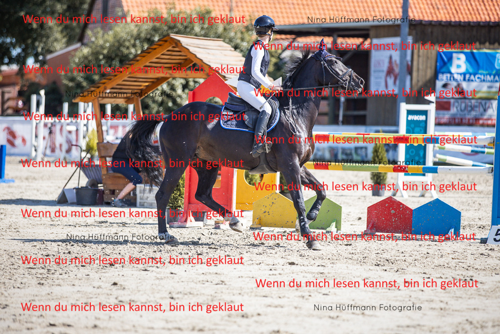BK1A6949 | Turnierbilder Turnierfotos Nina Hüffmann Turnierfotografie Pferdefotografie Tierzeichnung Haustierzeichnung Pferdezeichnung Hundezeichnung Videograf  - Realisiert mit Pictrs.com