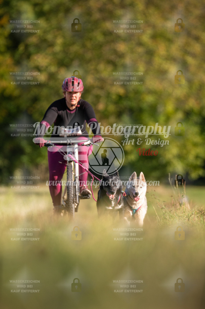 CDLBDB_15_10_2023_Dimanche-377 | mompixphotography