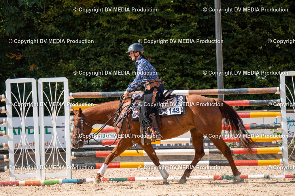 ZH100271 | dv-media-shop - Realisiert mit Pictrs.com