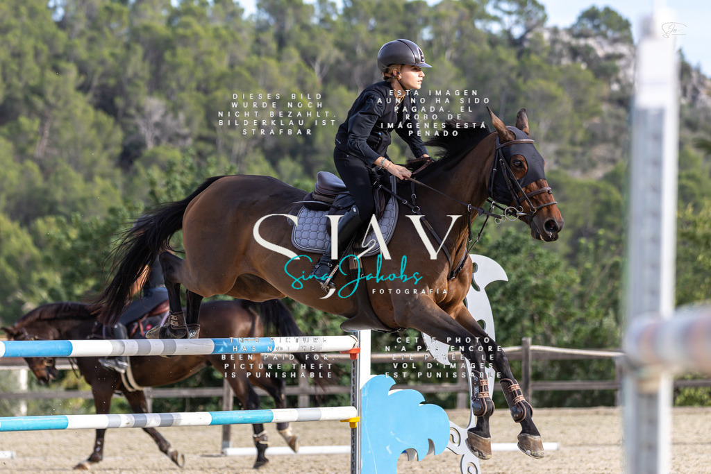 IMG_4686 | s-jay-photography - Realisiert mit Pictrs.com