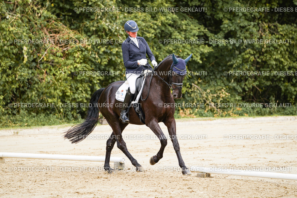 DSC01104 | Pferdegrafie