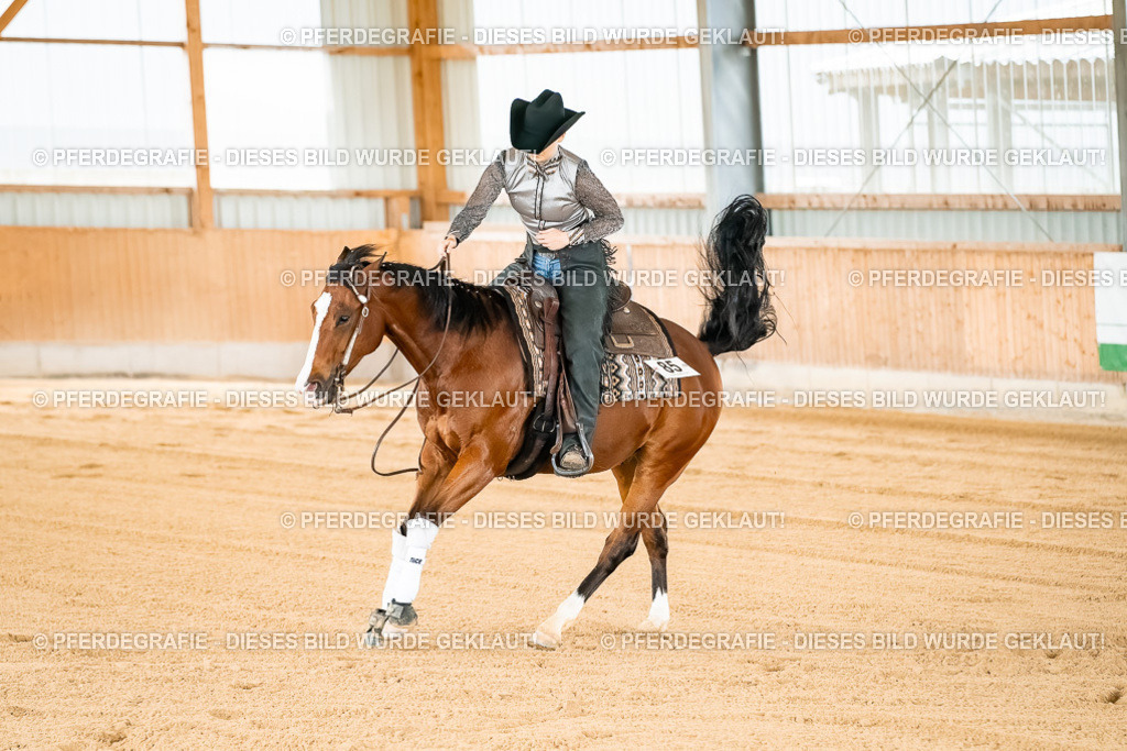 DSC02812 | Pferdegrafie