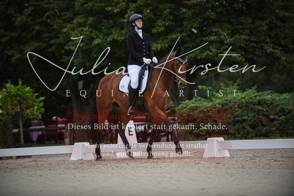 DSC_7969 | Pferde- und Turnierfotografie in Westsachsen. Pferdeportraits, Auftragszeichnungen und intuitive Kunst.
