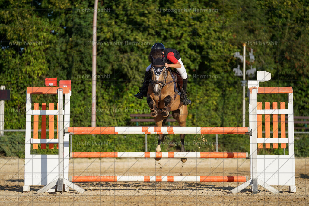 20240824-FAH08808 | Thierhaupten 2024, Bayerisches Landesponyturnier, Turnierbilder, Ponybilder, Turnierfotografen Bayern, Fotoagentur Herrmann