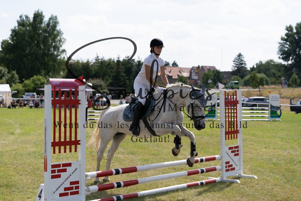 A7V00492 | Turnier/Reitfotograf