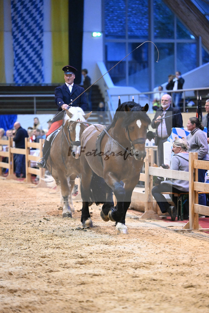 Schauprogramm_54222468 | hf-fotografie - Realisiert mit Pictrs.com
