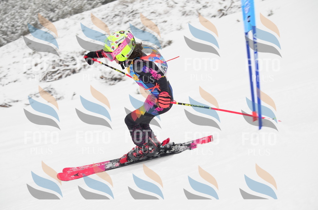 C0687 | holidayphoto