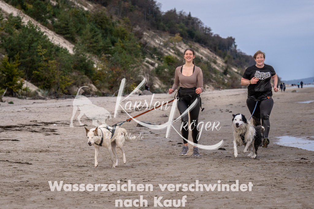 1212_ZZ90325 | kk-dogfotos