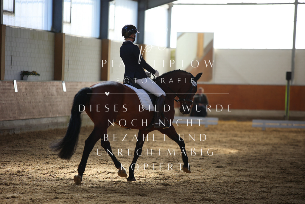 IMGT6244 | pl-fotografie