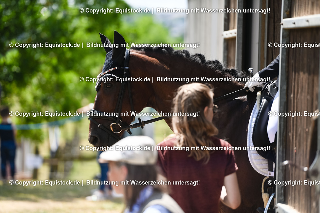 20230716_03_Dressurprfg. Kl.L - Tr._0089 | equistock