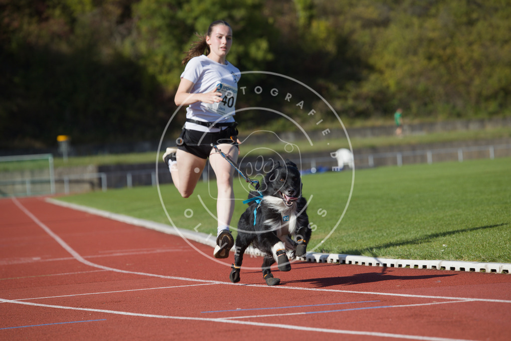 0L8A8866 | Hundefotografie, Tierfotograf, Pfotenfotografie, Fotoshooting Hund, Hunde Portrait, Hundesport, Hundeportraits, Heideshooting, Hunde, Sportfotograf, Hundefotograf, Turnierhundsport, THS,  - Realisiert mit Pictrs.com