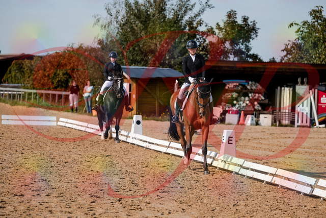 2026_10_03_Siefer-Hof_131537_Z63_77419997 | Professionelle Reitsport-, Turnier- und Eventfotografie von Robert Broda. Galerien mit ausgewählten und bearbeiteten Bildern direkt online ansehen und bestellen.