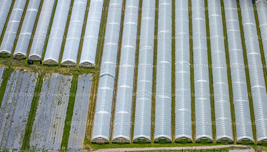 Dortmund240507386 | Erdbeerfelder mit Schutzabdeckung, Erdbeeranbau unter Folie, Bönninghauser Straße, Luftbild, Hostedde, Dortmund, Ruhrgebiet, Nordrhein-Westfalen, Deutschland