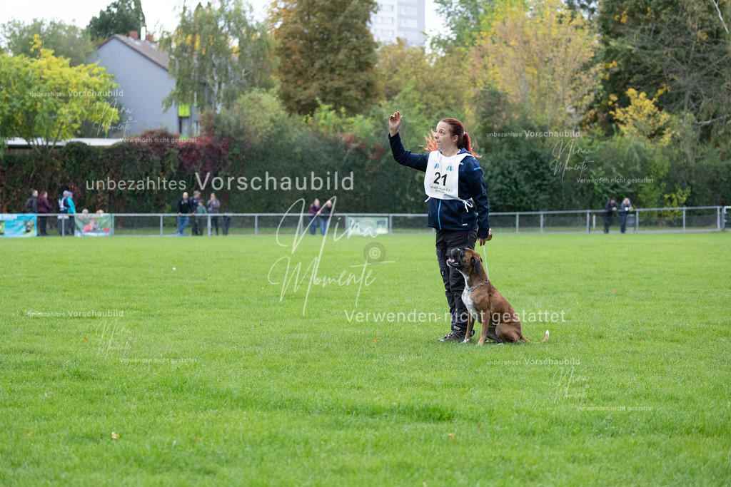 _16A4693 | Einzigartige Fotos von Hunden & Menschen –Actionfotos, Portraits, Vereinsaufnahmen & Paarshootings – authentisch, lebendig & mit Herz.