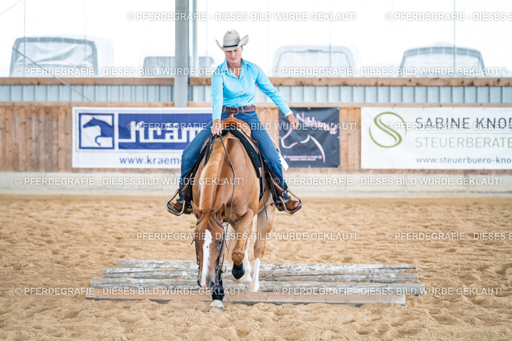 DSC03337 | Pferdegrafie