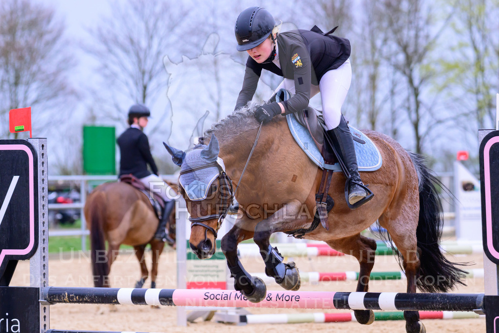 10042026-Mammendorf-Prfg13-0691 | Fokus Hufschlag Fotografie - Realisiert mit Pictrs.com