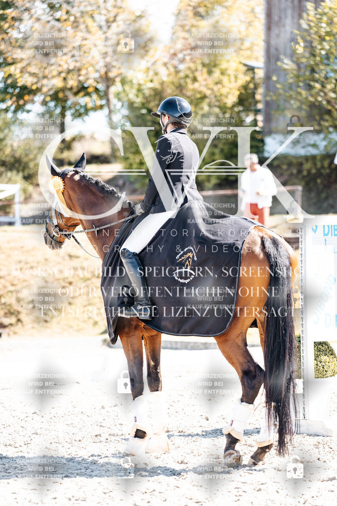 CK909944 | Turnierfotografie Pferdefotografie Trier Rheinland-Pfalz Pferdesport Reitsport Tierfotografie Sportfotografie Pferdevideo Pferdevideografie Equestrianvideography equestrianphotography  - Realisiert mit Pictrs.com