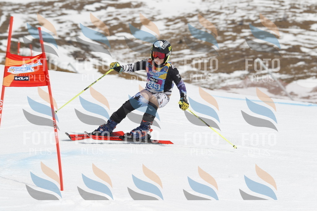 _U3G2746 | holidayphoto