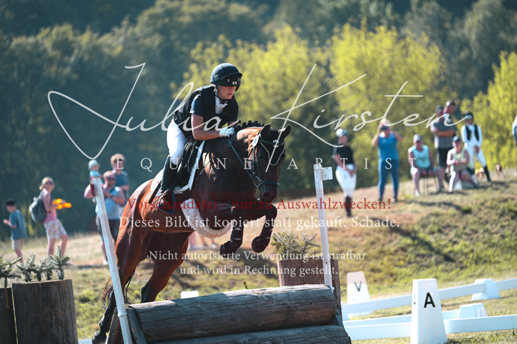 DSC_7856 | Pferde- und Turnierfotografie in Westsachsen. Pferdeportraits, Auftragszeichnungen und intuitive Kunst.