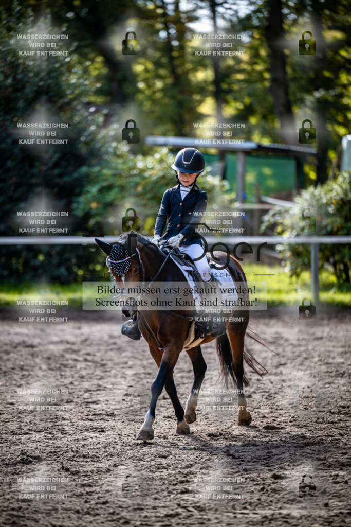 2026-10-Helle-20-4-0046 | Entdecke hochwertige Reitturnierfotos von Foto Oger. Professionell, emotional und authentisch – jetzt Lieblingsmomente im Shop bestellen.Deutschlandweite Turnierfotografie. - Realisiert mit Pictrs.com