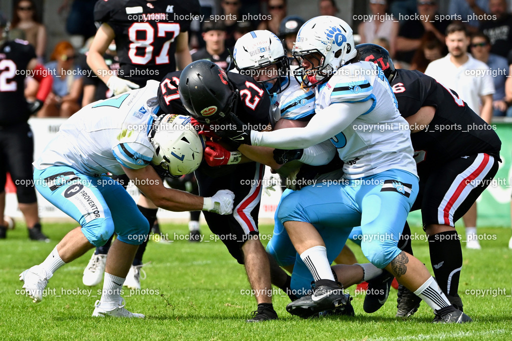 Carinthian Lions vs. Styrian Bears | Carinthian Lions vs. Styrian Bears, Carinthian Lions vs. Styrian Bears am 20.05.2024 in Klagenfurt (ASV Sportplatz), Austria, (Photo by Bernd Stefan)