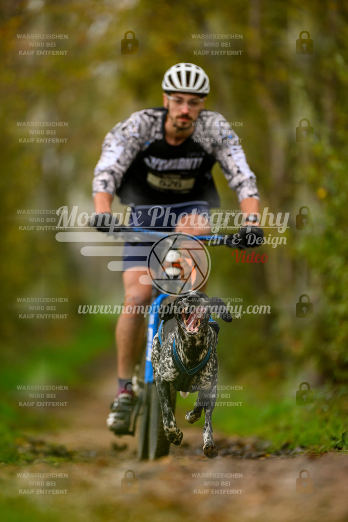MompixPhotography_20TSB_E6_Bike-32 | PayLife