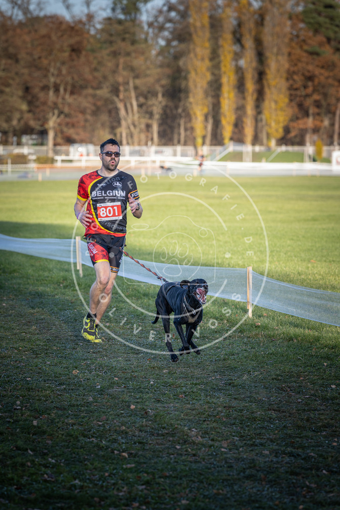 CaniXpix_DV3A2915 | Hundefotografie, Tierfotograf, Pfotenfotografie, Fotoshooting Hund, Hunde Portrait, Hundesport, Hundeportraits, Heideshooting, Hunde, Sportfotograf, Hundefotograf, Turnierhundsport, THS,  - Realisiert mit Pictrs.com