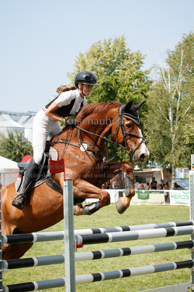 IMG_3440 | P. Berger Fotografie - Realisiert mit Pictrs.com