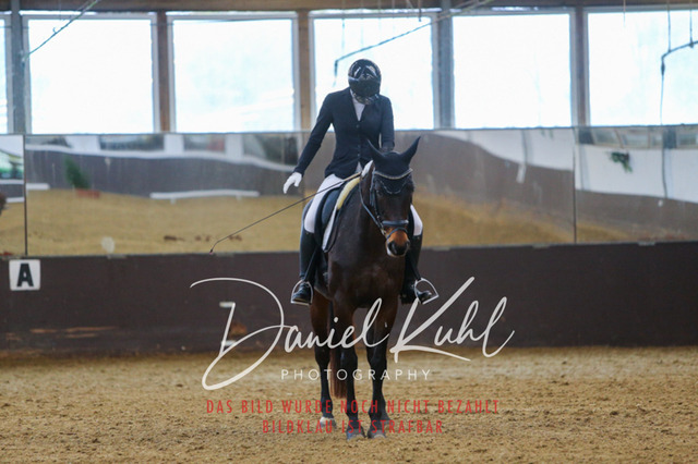 IMG_7802 | Turniersportfotografie; Pferdefotografie; Dressurfotografie