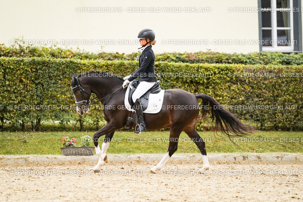 DSC00238 | Pferdegrafie