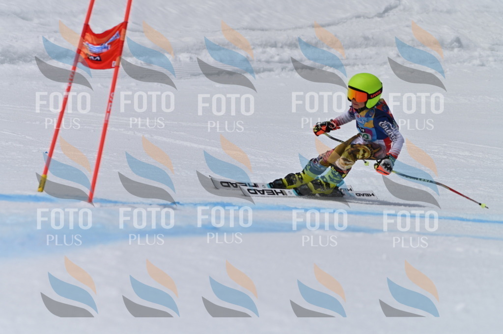 BGV_5775 | holidayphoto