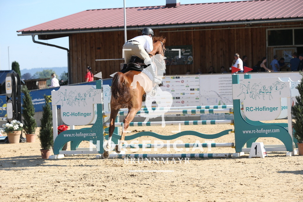 DL2Q1989 | Willkommen bei Brunnmayr - Design & Fotografie – Ihrem Spezialisten für Reitturniere und Pferdeveranstaltungen in Oberösterreich, Salzburg und Bayern! Seit über 17 Jahren sind wir leidenschaftlich dabei.
