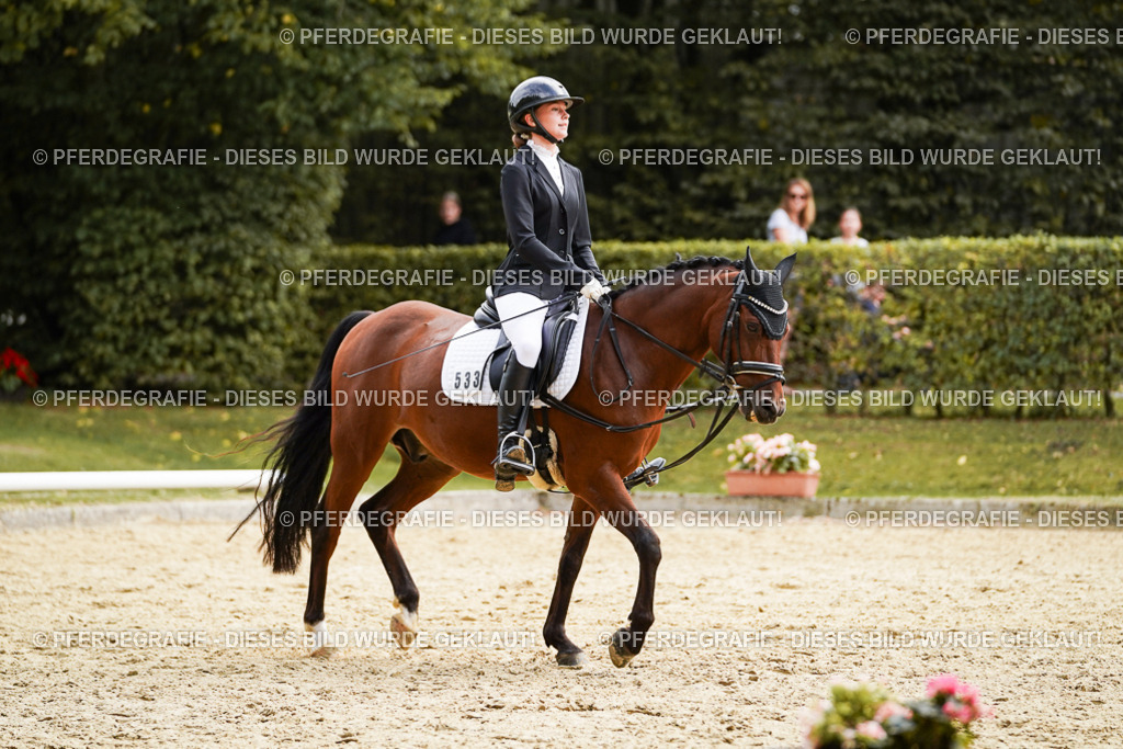 DSC01079 | Pferdegrafie