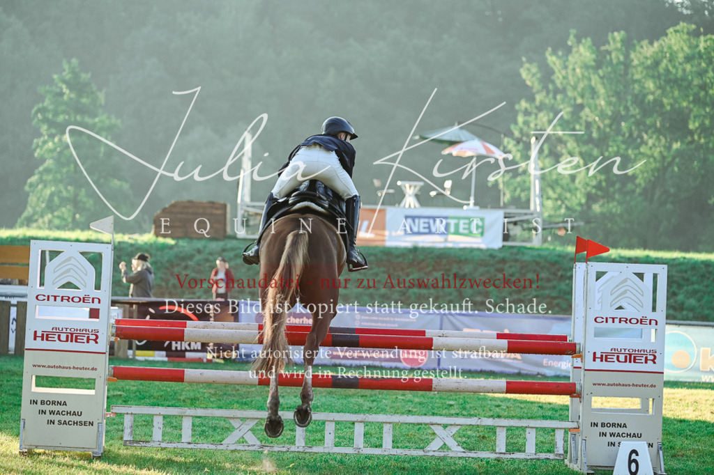 DSC_3757 | Pferde- und Turnierfotografie in Westsachsen. Pferdeportraits, Auftragszeichnungen und intuitive Kunst.