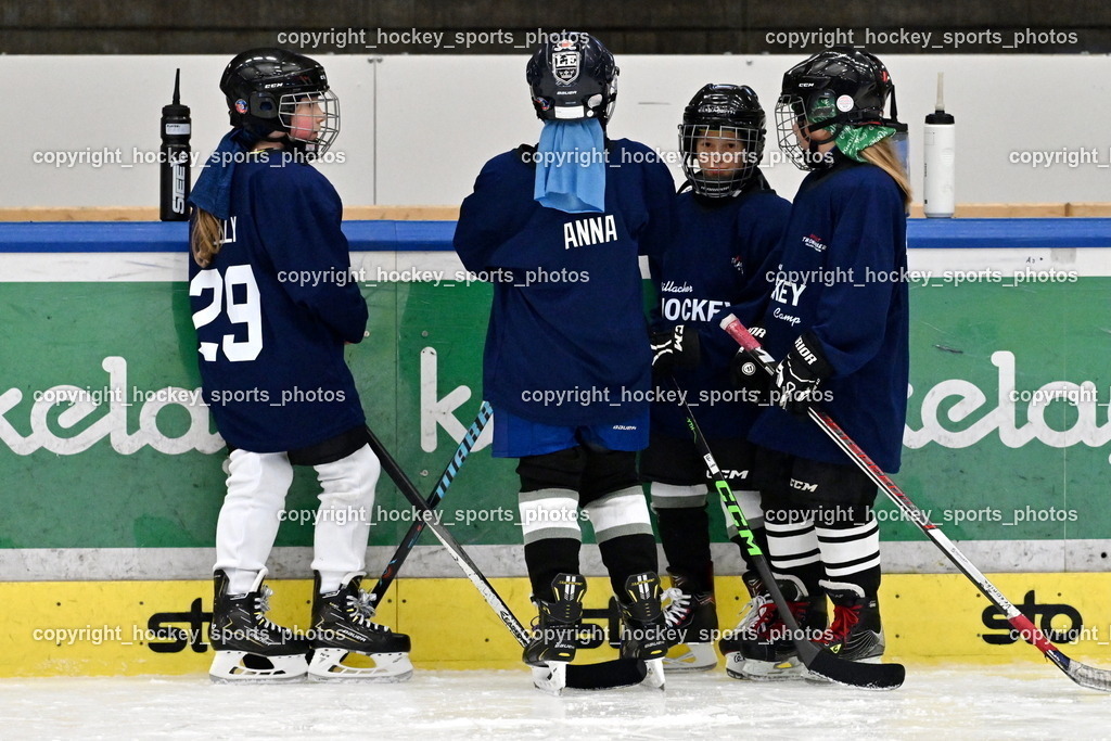 Z9B_1576 | hockey sports photos, Pressefotos, Sportfotos, hockey247, win 2day icehockeyleague, Handball Austria, Floorball Austria, ÖVV, Kärntner Eishockeyverband, KEHV, KFV, Kärntner Fussballverband, Österreichischer Volleyballverband, Alps Hockey League, ÖFB, 