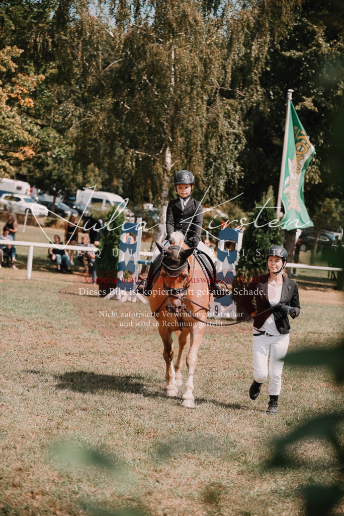 DSC_6136 | Pferde- und Turnierfotografie in Westsachsen. Pferdeportraits, Auftragszeichnungen und intuitive Kunst.