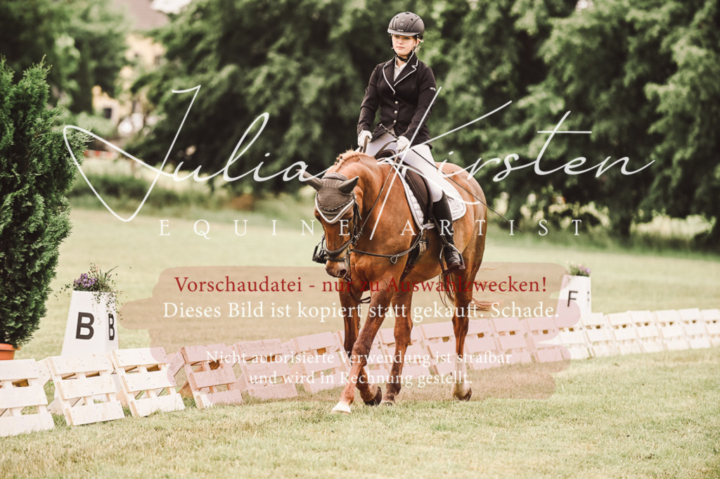 DSC_4836 | Pferde- und Turnierfotografie in Westsachsen. Pferdeportraits, Auftragszeichnungen und intuitive Kunst.