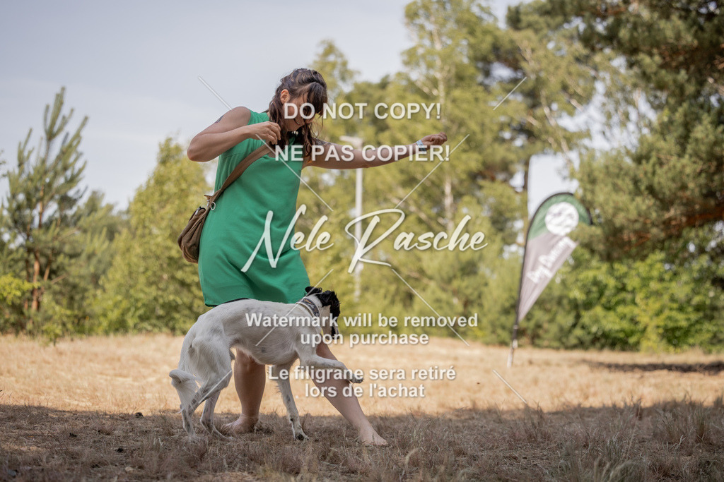 nelerasche_soDD2_437 | nelerasche