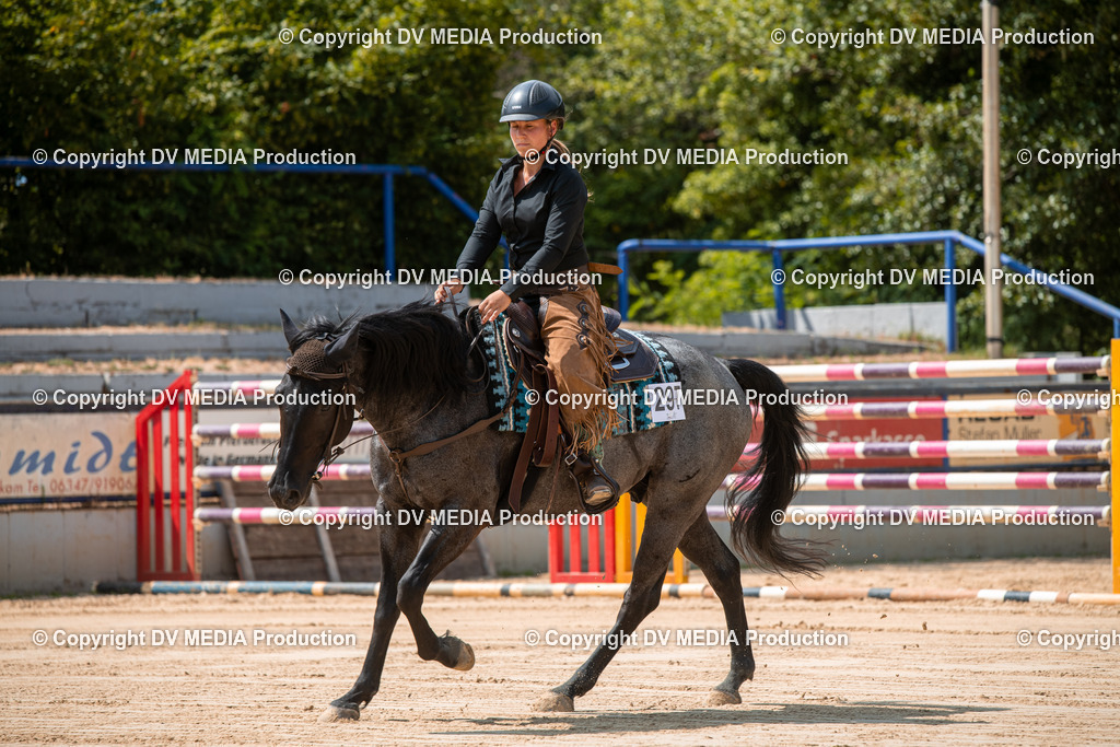 ZS2_8240 | dv-media-shop - Realisiert mit Pictrs.com