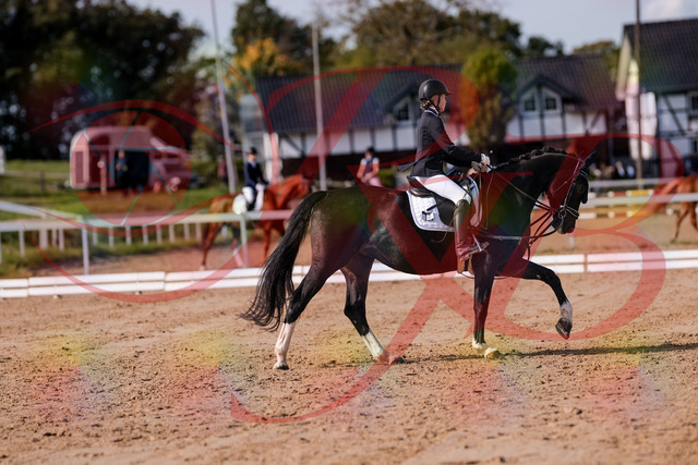2026_10_03_Siefer-Hof_121557_Z81_18033944 | Professionelle Reitsport-, Turnier- und Eventfotografie von Robert Broda. Galerien mit ausgewählten und bearbeiteten Bildern direkt online ansehen und bestellen.