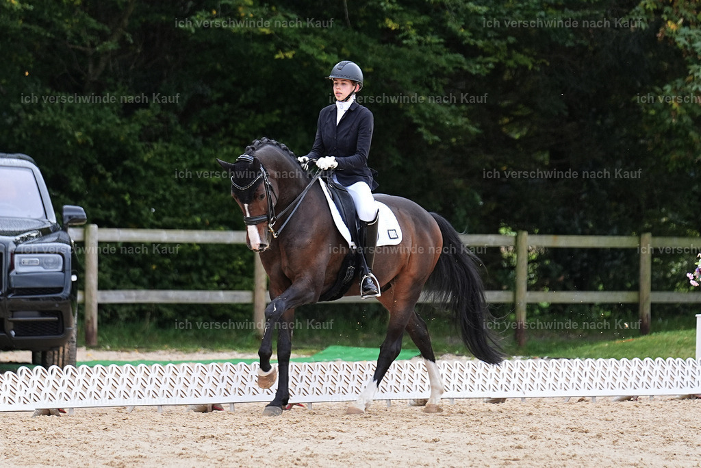 3-224-Dressur M_-Marixx-2036 | working equitationturnier fotograf videograf stoibphotography marixx film working equitation deutschland reitsport turnierfotografie eventfotografie equestrian events