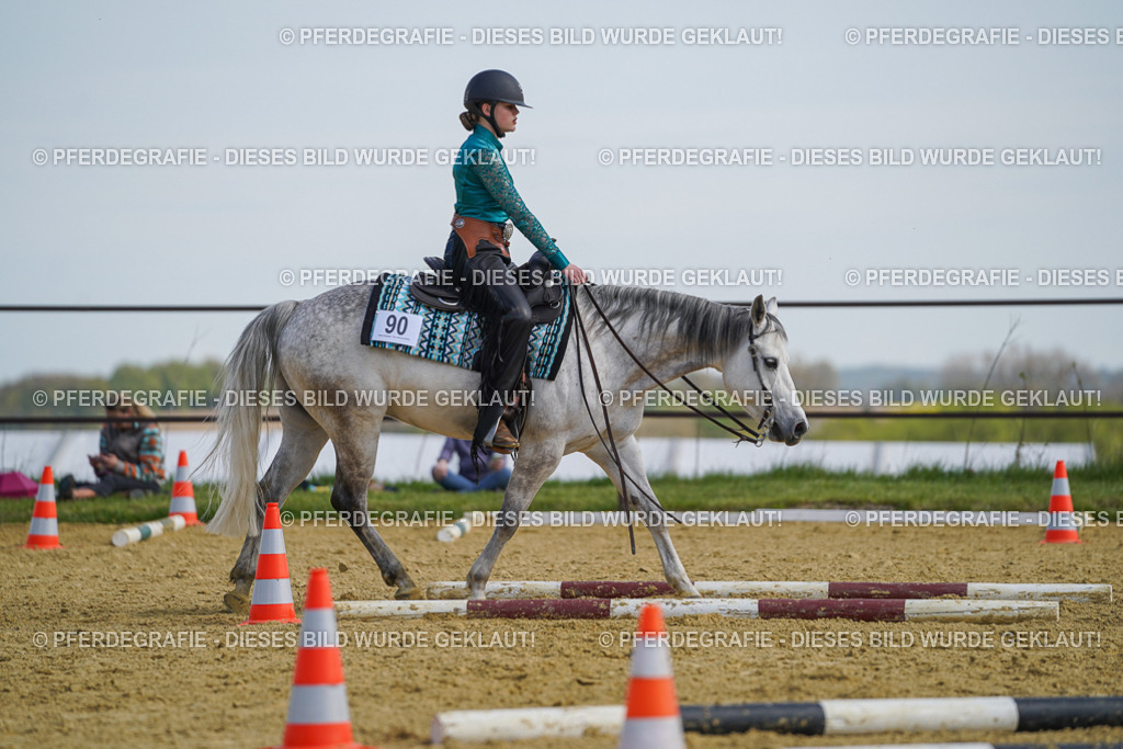 DSC04634 | Pferdegrafie