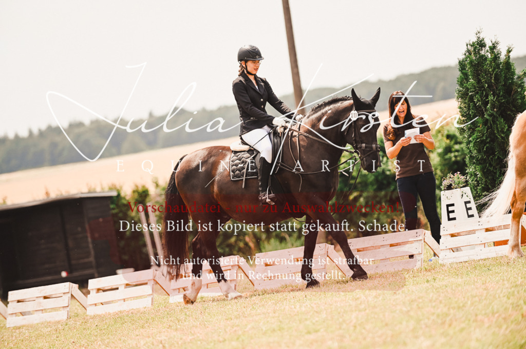 DSC_6236 | Pferde- und Turnierfotografie in Westsachsen. Pferdeportraits, Auftragszeichnungen und intuitive Kunst.