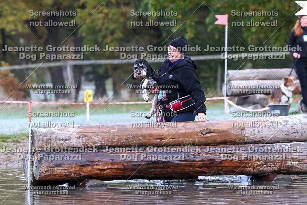 Dog Paparazzi - Strongdog 10-25-6146 | Dog Paparazzi Jeanette Grottendiek Fotografie & Videografie - Realisiert mit Pictrs.com