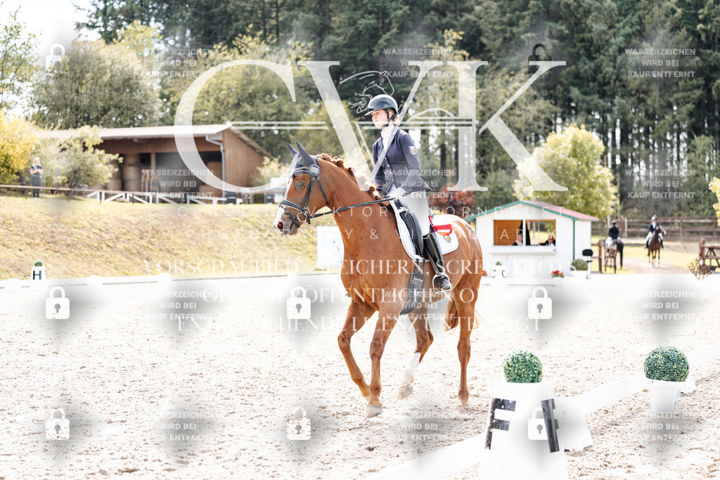 CK900954 | Turnierfotografie Pferdefotografie Trier Rheinland-Pfalz Pferdesport Reitsport Tierfotografie Sportfotografie Pferdevideo Pferdevideografie Equestrianvideography equestrianphotography  - Realisiert mit Pictrs.com