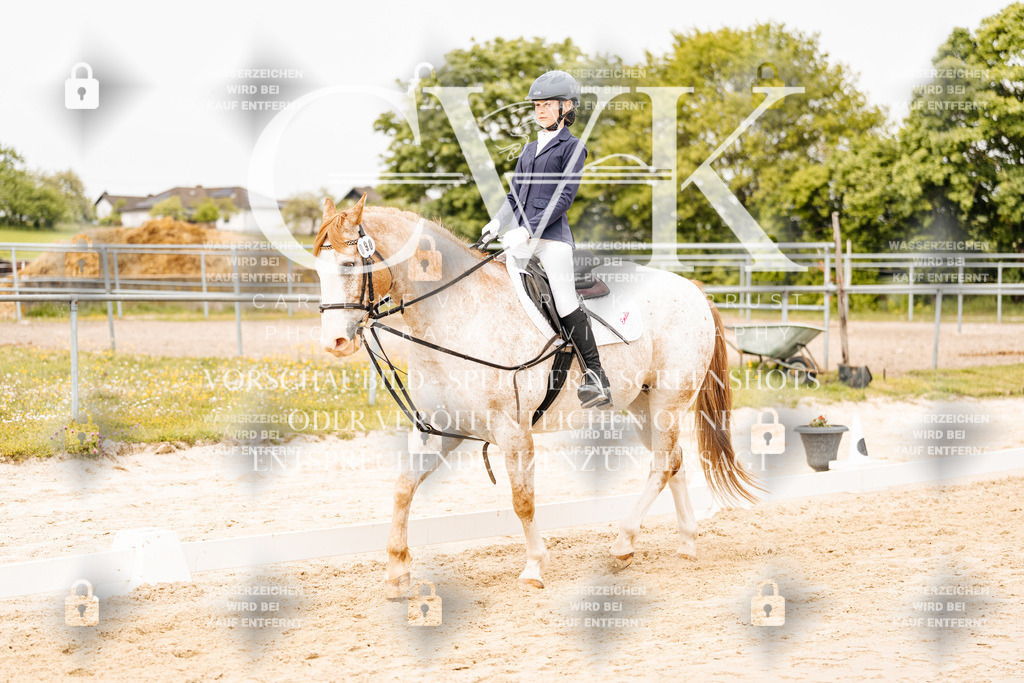 CK904217 | Turnierfotografie Pferdefotografie Trier Rheinland-Pfalz Pferdesport Reitsport Tierfotografie Sportfotografie Pferdevideo Pferdevideografie Equestrianvideography equestrianphotography  - Realisiert mit Pictrs.com