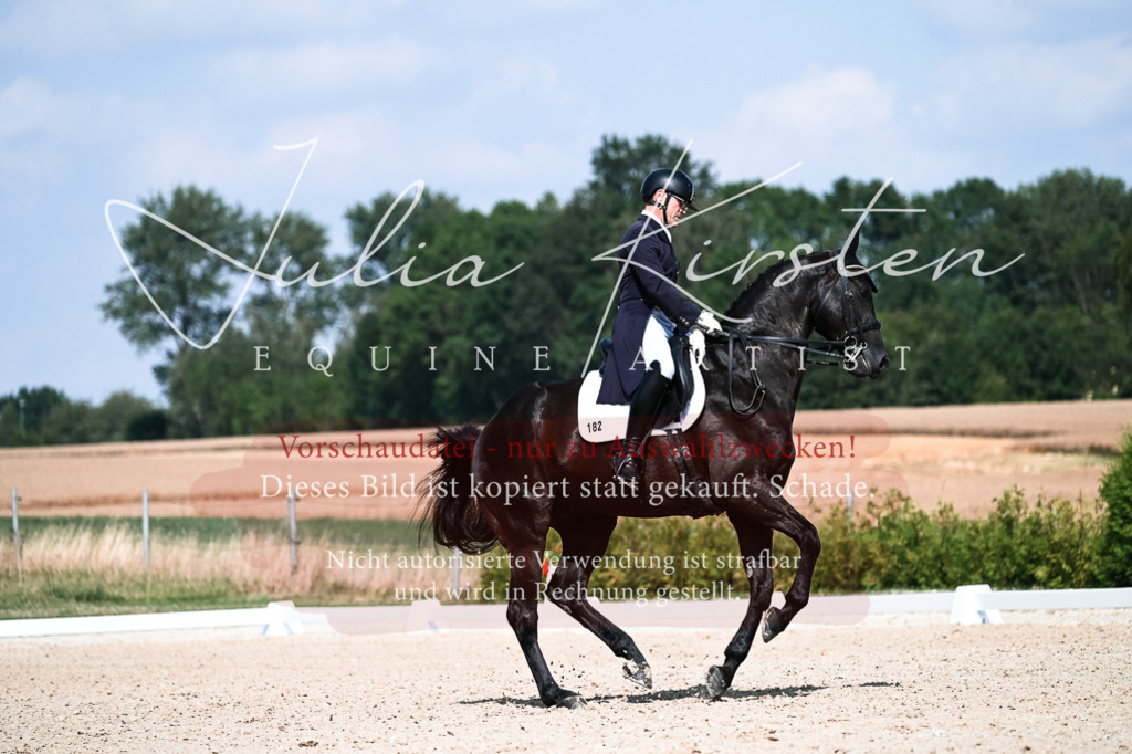 DSC_3021 | Pferde- und Turnierfotografie in Westsachsen. Pferdeportraits, Auftragszeichnungen und intuitive Kunst.