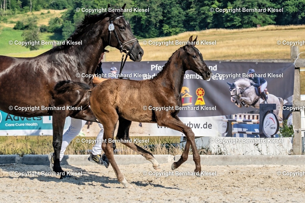 A1S08297 | foto-team-bernhard - Realisiert mit Pictrs.com